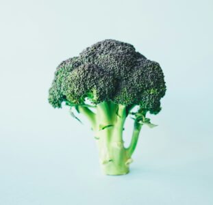 this is an image of broccoli, a food full of vitamins good for mental health